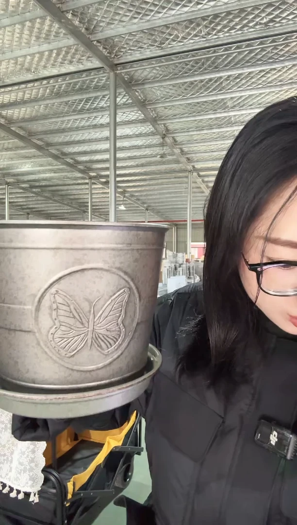 【闪购商品】塑料7寸蝴蝶盆铁皮色10只装