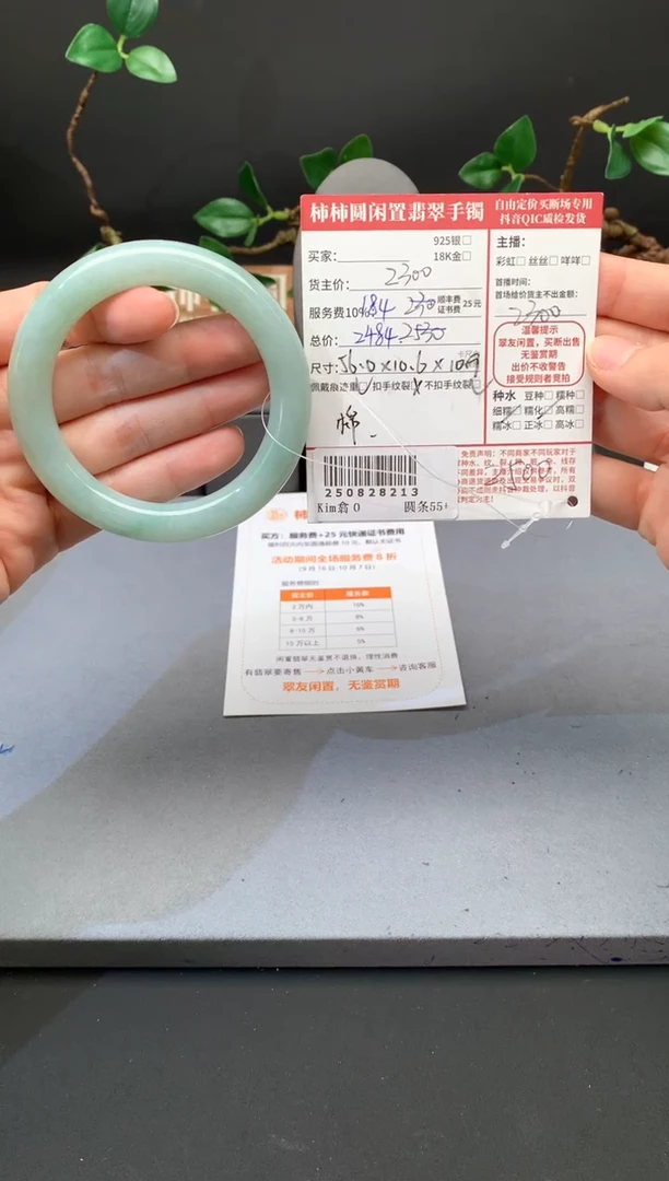未镶嵌手镯翡翠_*2姐姐250828213