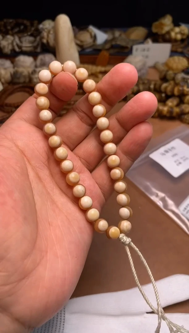 其他牛骨马骨手作M99