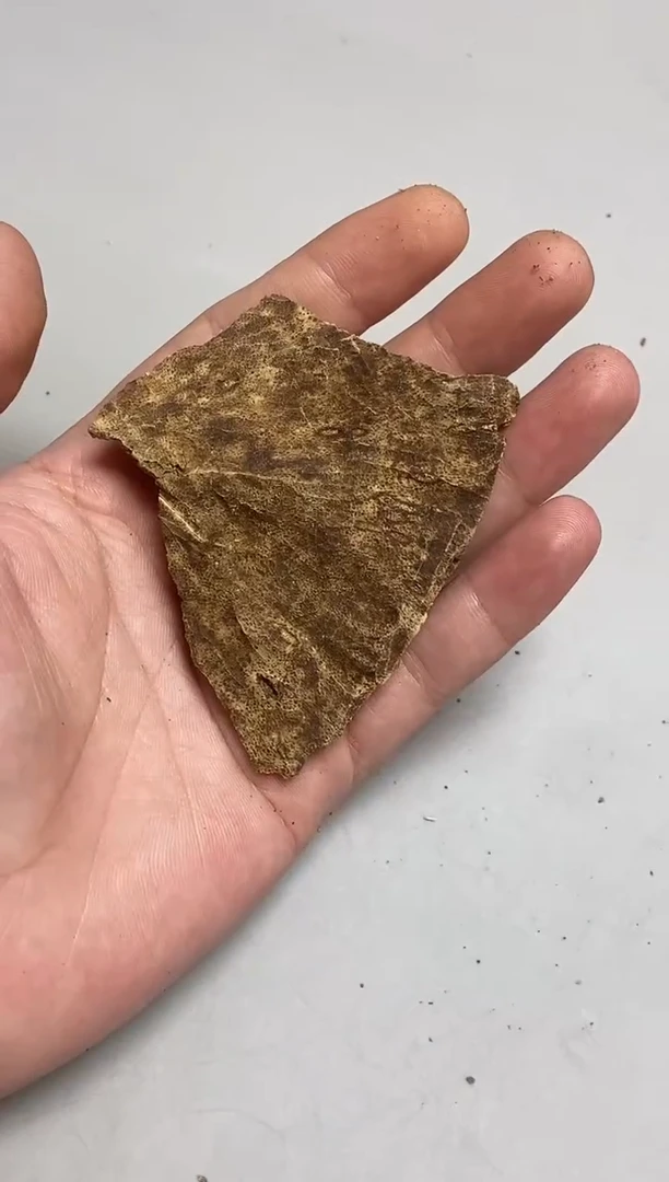 沉香吊坠海南包头料吊坠多样性发其一