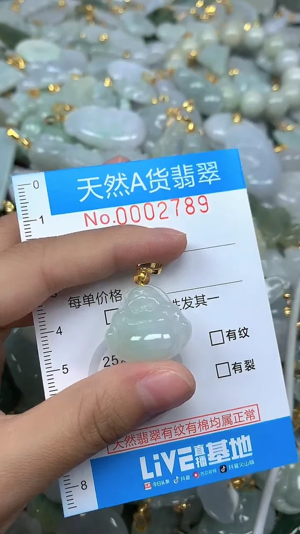 颈饰未镶嵌翡翠净货挂件-2789