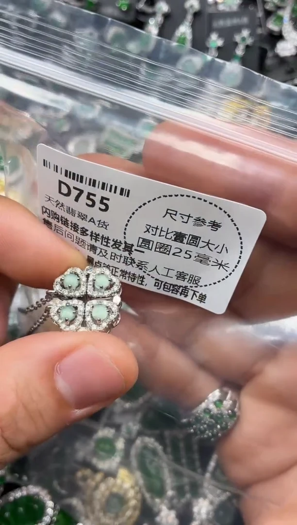 颈饰未镶嵌翡翠D755项链