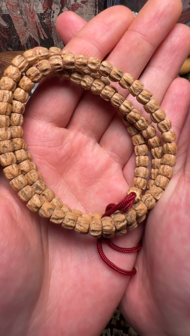 【闪购商品】柏香籽/百香籽手串百香籽手串