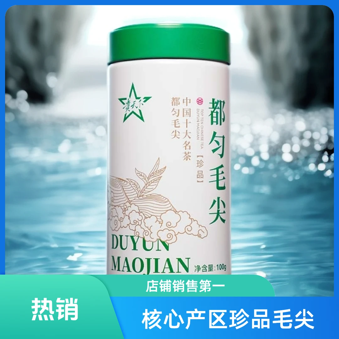 2025新茶贵天下茶叶都匀毛尖独芽明前高山云雾茶100g