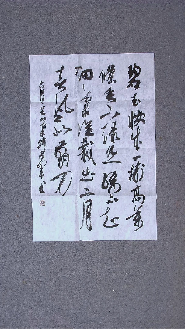 书法 赵冠军   上海69*46（6）