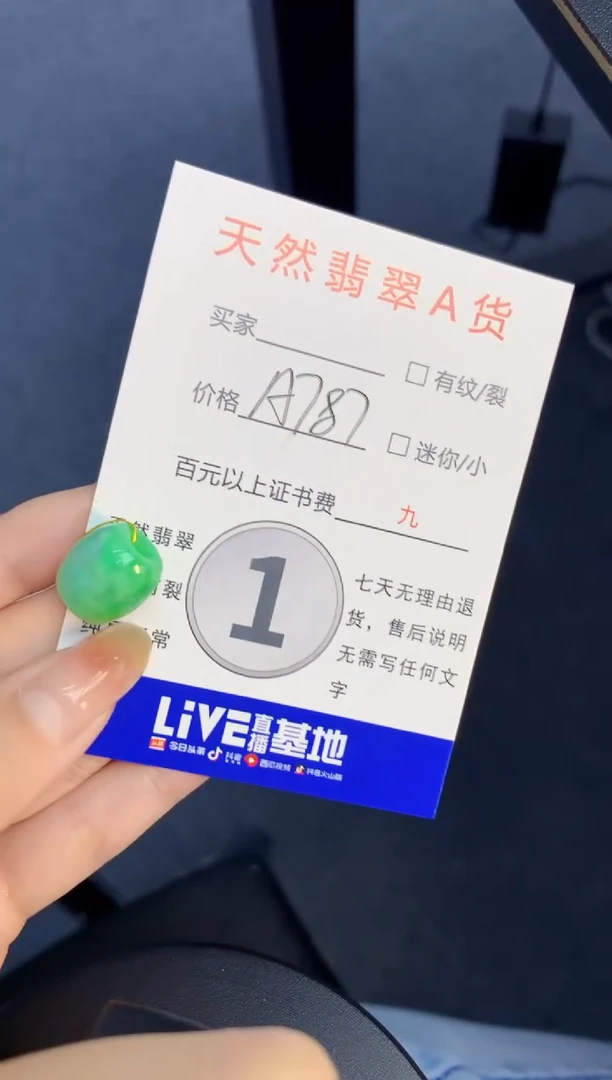 颈饰未镶嵌翡翠天然缅甸A货翡翠