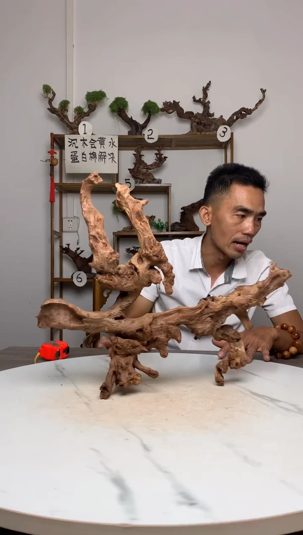美****铺鱼缸造景沉木摆件