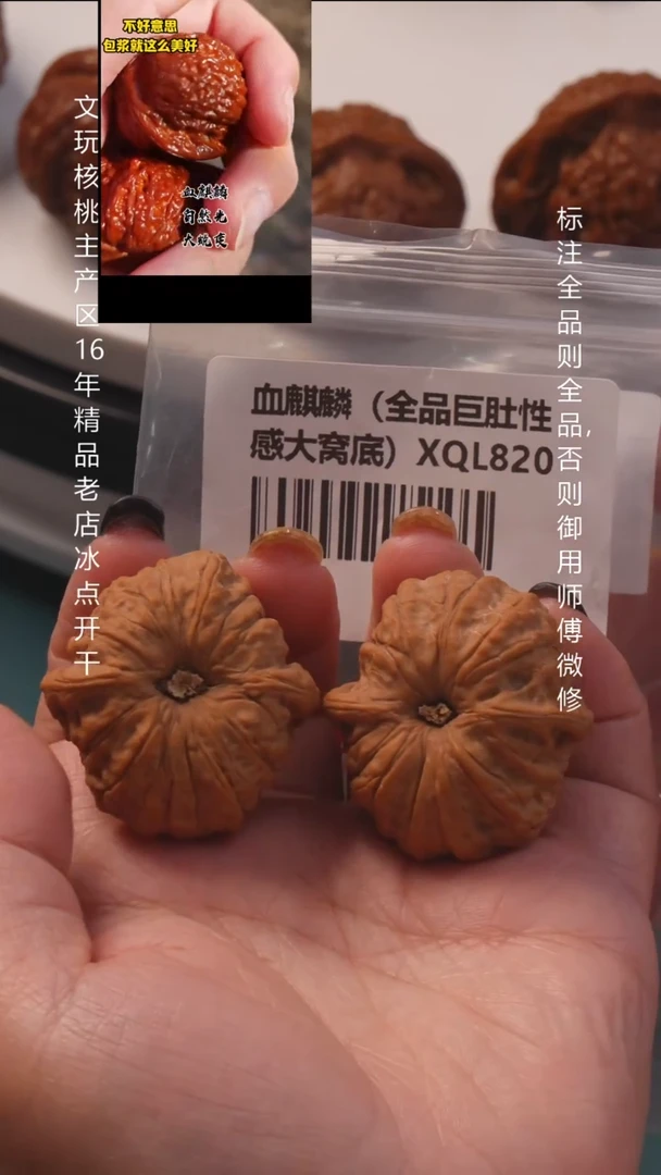 把件文玩核桃38.5血麒麟全品8号