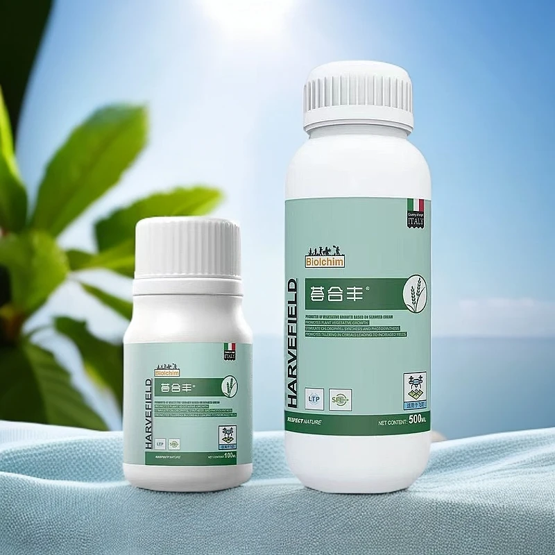 荟合丰，逆境补光，营养从叶片运转到果实苯甲吡唑酯