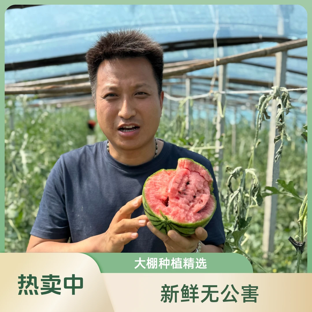城阳夏庄冰糖籽西瓜单果约2000g左右山东省