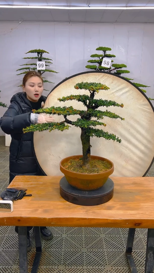 无花朵一物一拍一物一拍