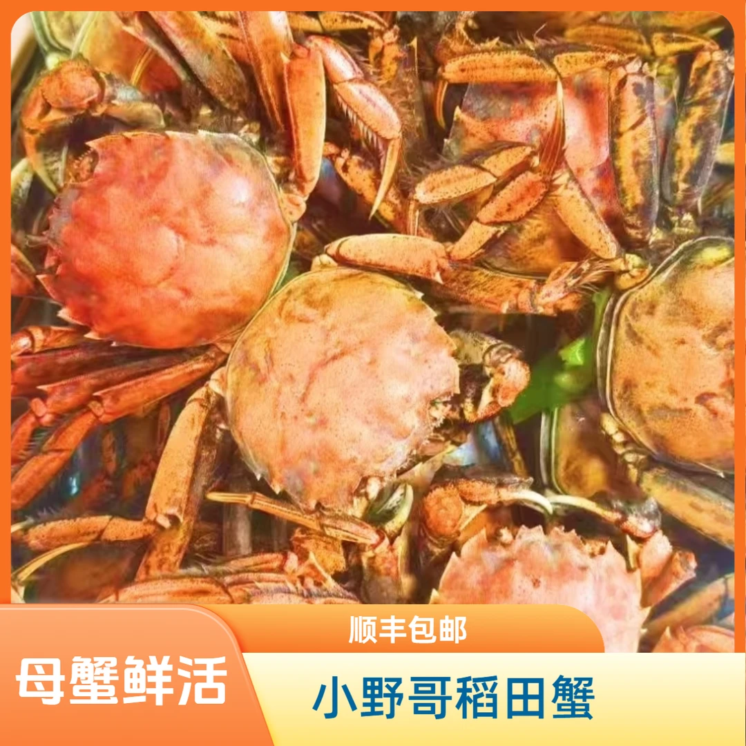 [活蟹】正宗盘锦河蟹 1.3-1.6两 3斤装 全母(18-23只)盘锦稻田蟹
