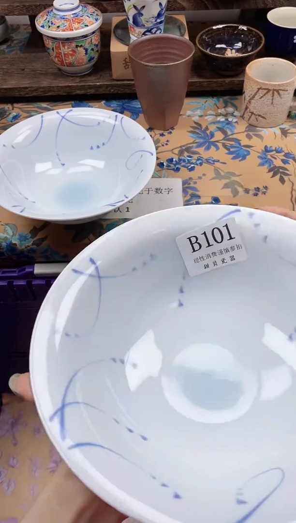瓷片淡*                B101