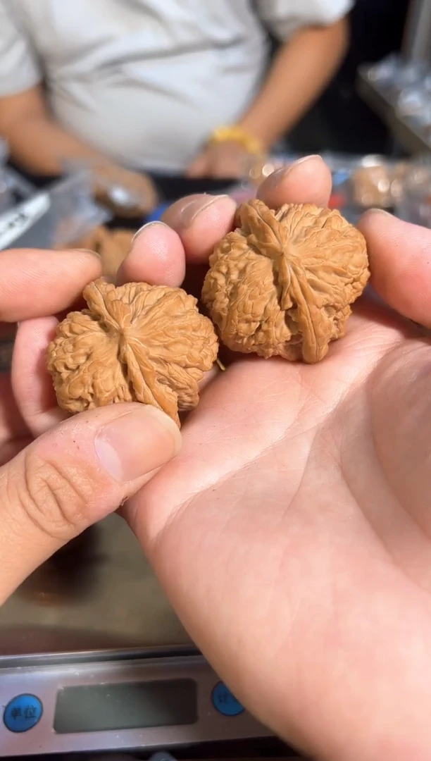 把件核桃全品三角白狮子