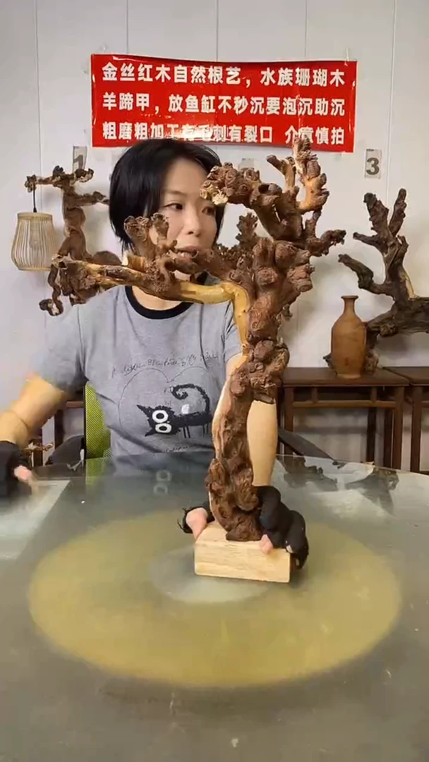 香榧木快****?金丝红木 羊蹄甲