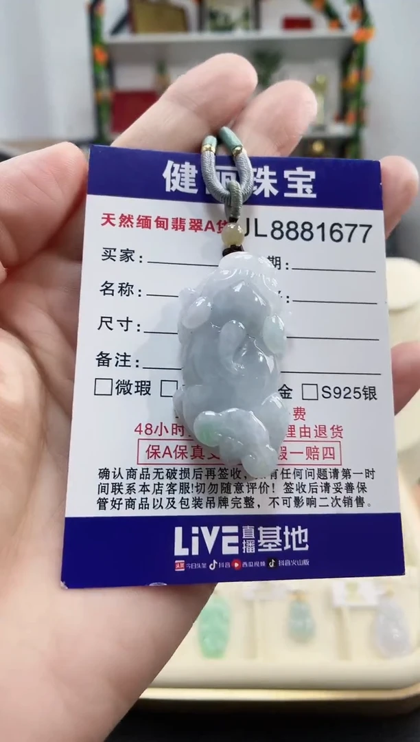 颈饰未镶嵌翡翠天然缅甸翡翠 貔貅(一物一证)