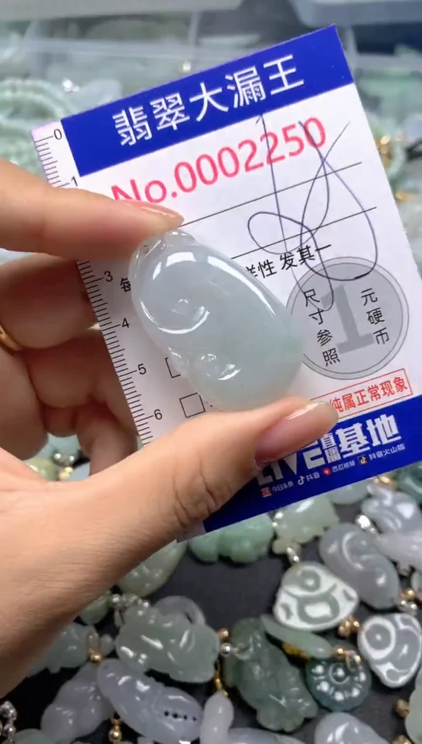 颈饰未镶嵌翡翠2250