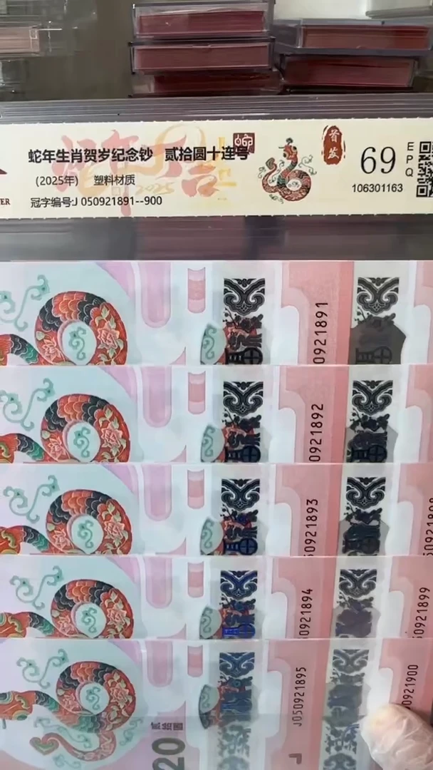 【闪购商品】塑料050921891-蛇钞标十！