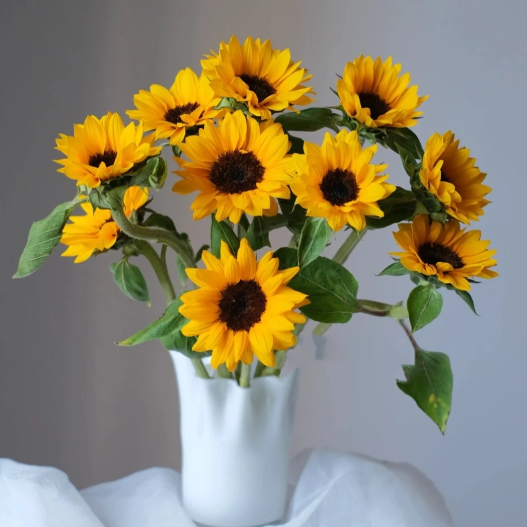 【花鲜达1】黑心向日葵3枝装家居插花养花生活鲜花全场两单包邮送货上门今天拍明天到鲜切花