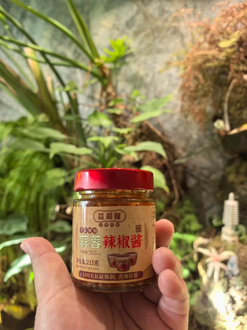 【小妖精】惠州特产 蒜蓉辣椒酱 菜脯辣椒酱 0添加香精色素防腐剂
