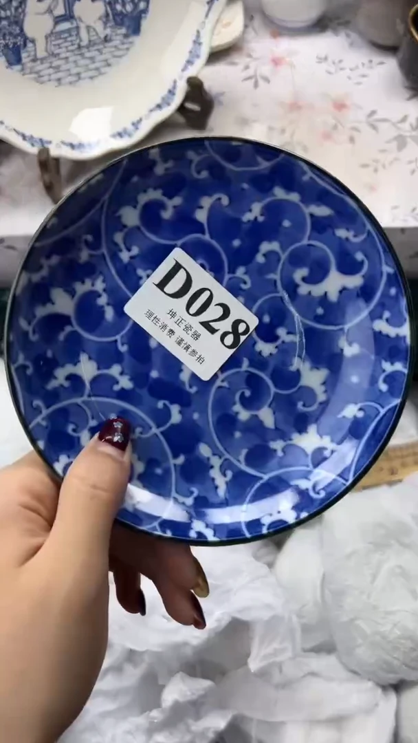 瓷片            D028