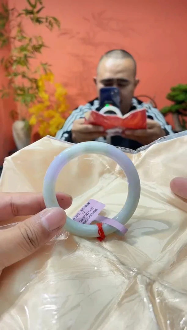 未镶嵌手镯翡翠4