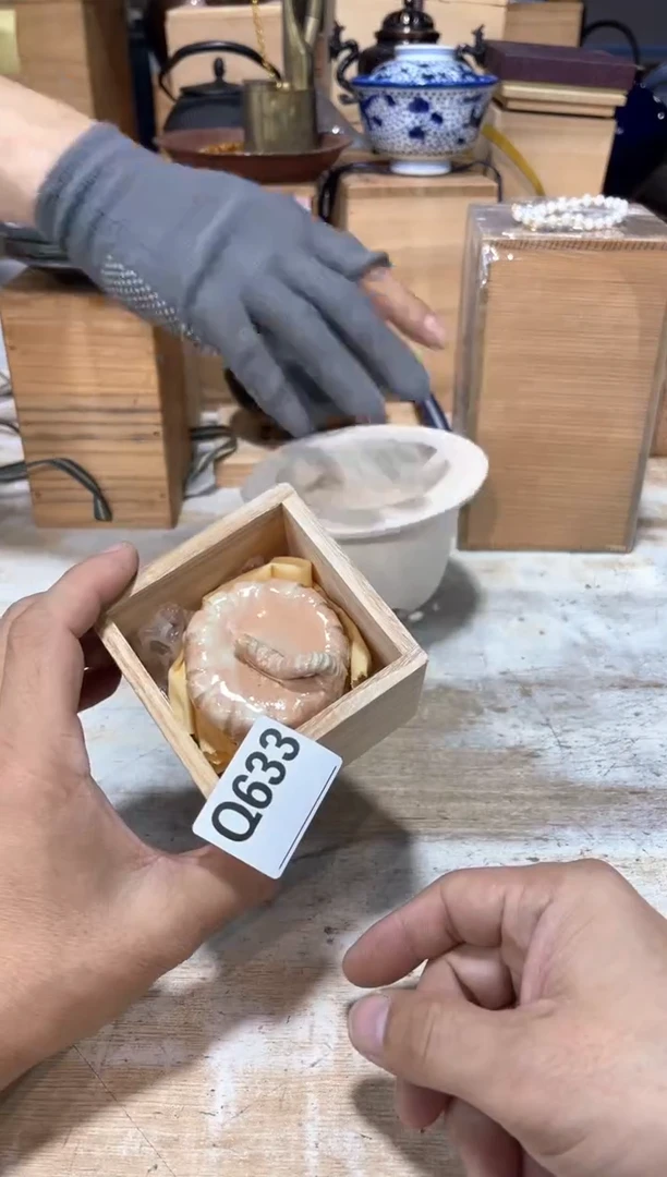 X****～直播定闪专用链接123