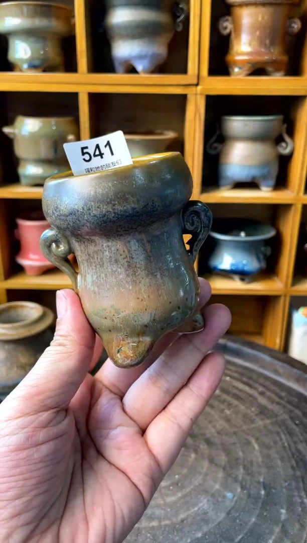 541【多肉花盆多肉盆】