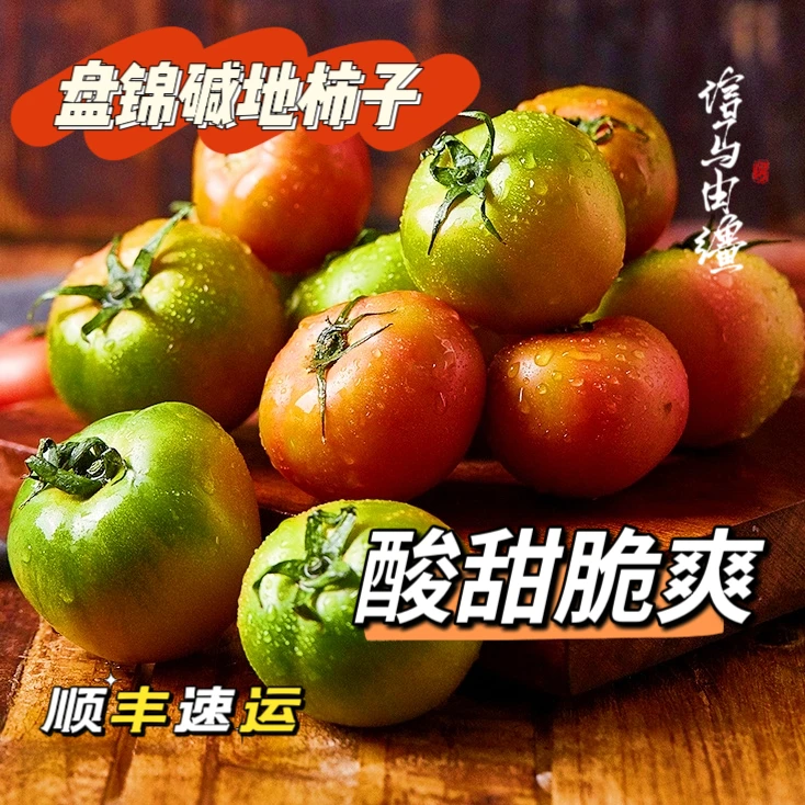 盘锦碱地西红柿（5斤礼品装物流较远地区）