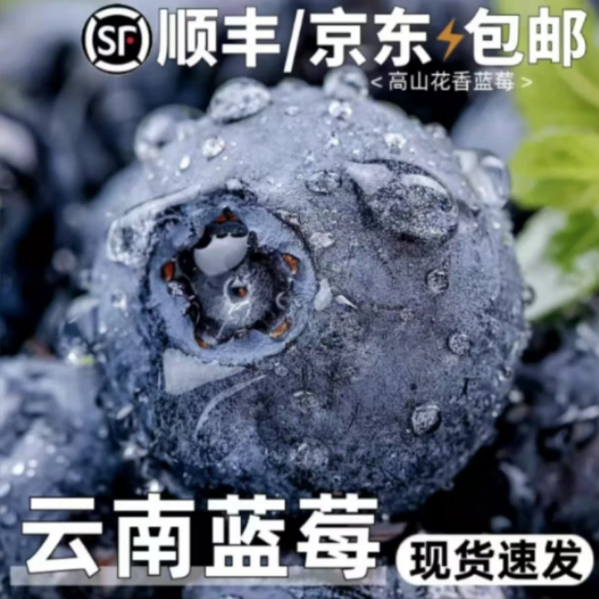 【买一箱送一箱】云南抚仙湖花香蓝莓新鲜水果两箱800g现摘