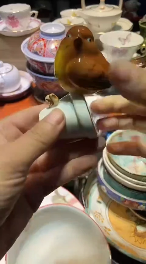 瓷片1111111111111@@1
