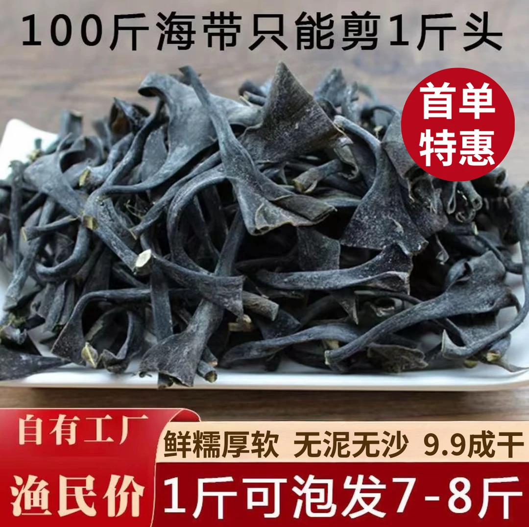 【精品】霞浦特产日晒干货海带头软糯厚实煲汤火锅凉拌商用长度15cm