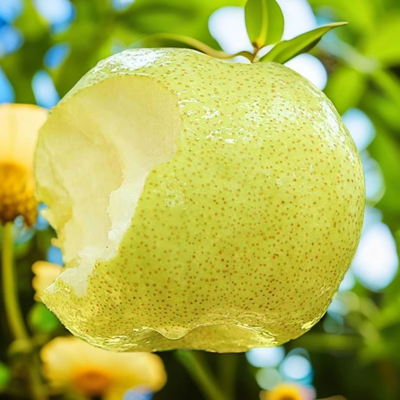 【怀远助农 顺丰发货】砀山酥梨 纯甜多汁 净重9斤装