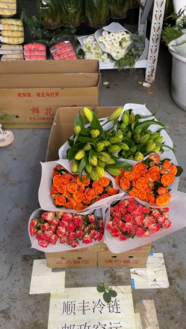 橙色芭比10枝+爱丽丝10枝+双头亚百合10枝