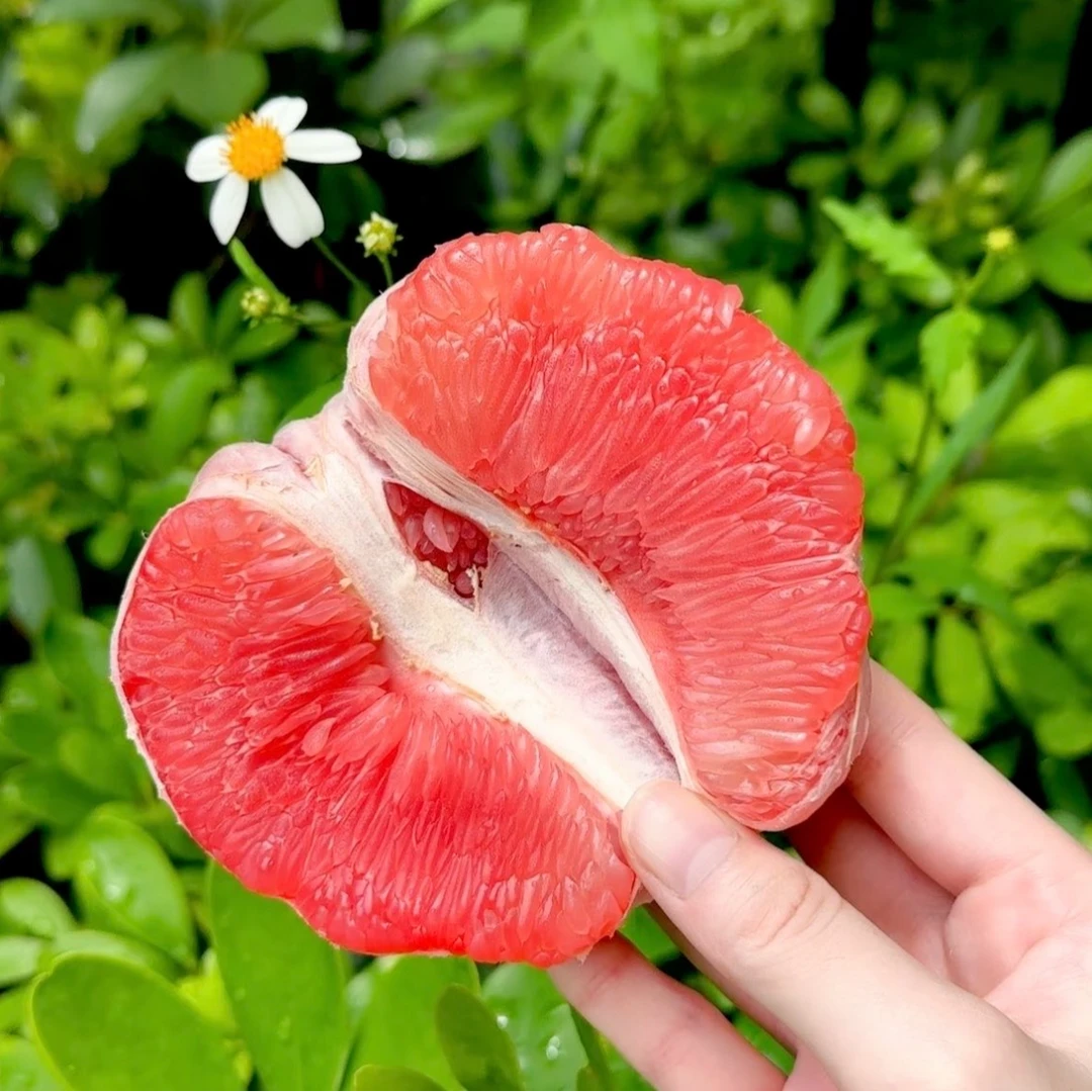 【即时配送】红肉蜜柚-1个（约2.2斤）