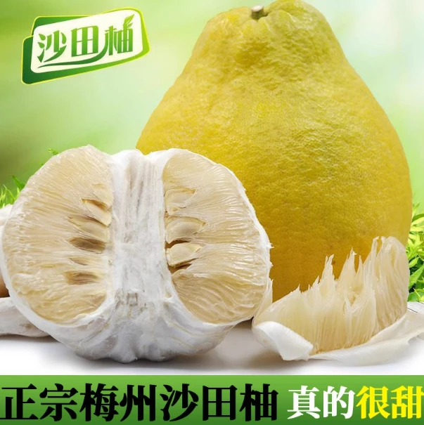 【50斤】梅州沙田柚广东金柚纯甜白心肉孕妇当季新鲜水果