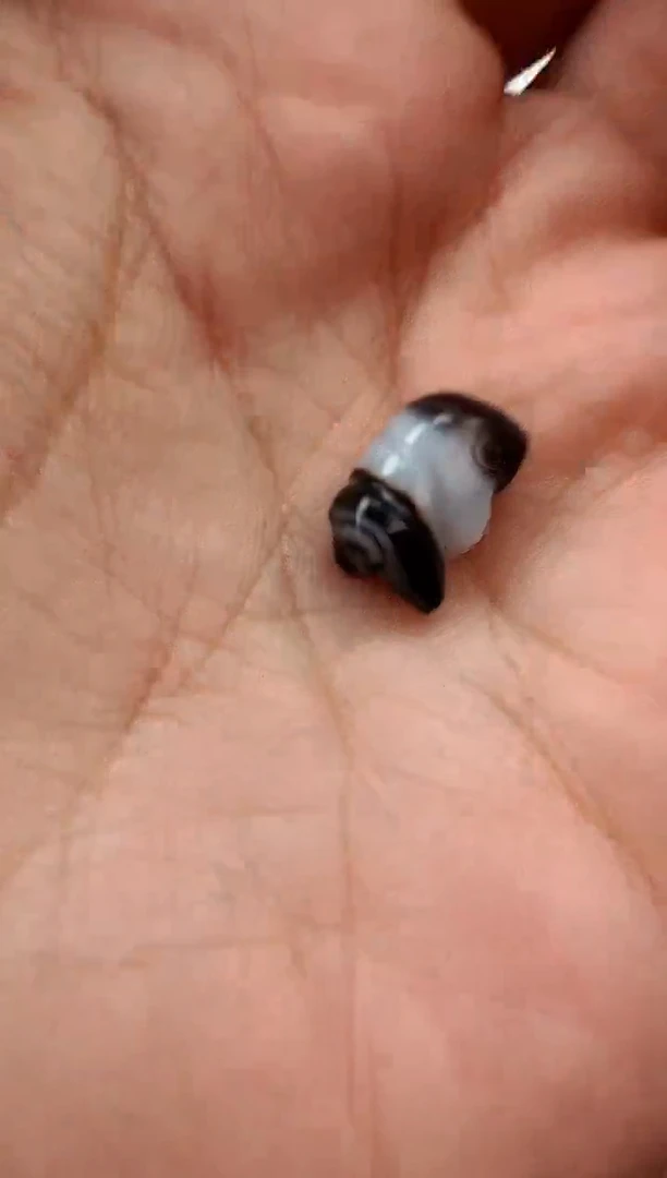 【闪购商品】玛瑙/玉髓颈饰未镶嵌【 肖钟出品 】