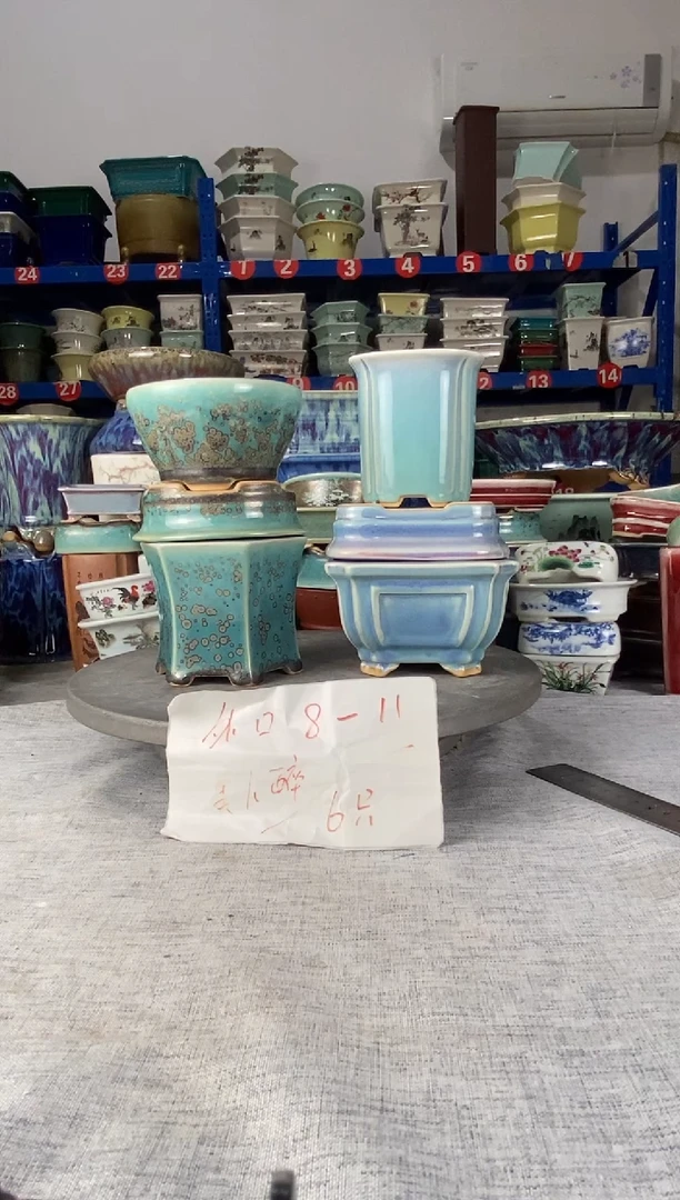 252412六只美人醉花盆
