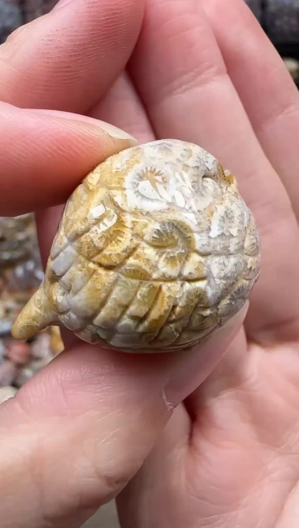 颈饰未镶嵌硅化珊瑚（珊瑚玉）729