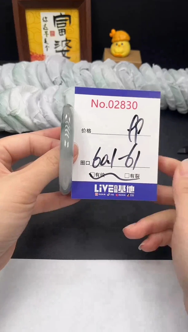 未镶嵌手镯翡翠拍下以实物为准2830