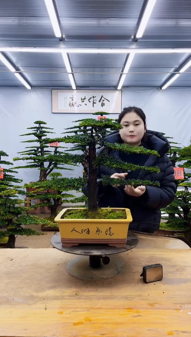 无花朵一物一拍·所见即所得