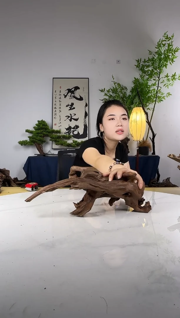 少****.拍这个定向编号66