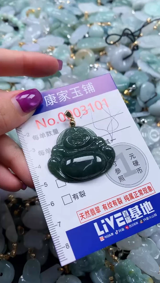 颈饰未镶嵌翡翠3101