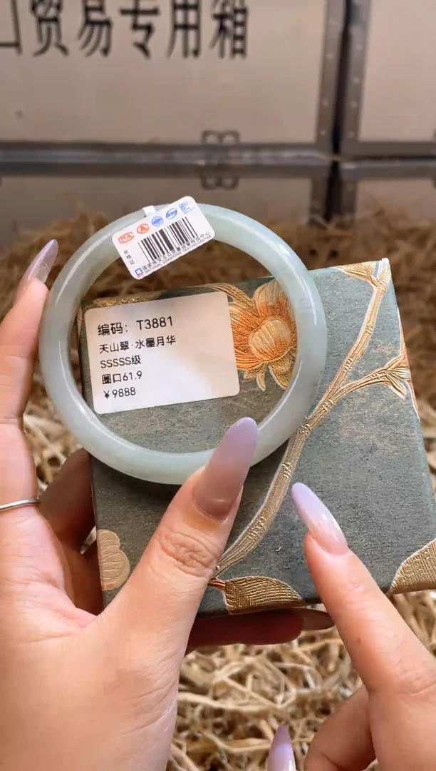 未镶嵌手镯石英质玉T3881