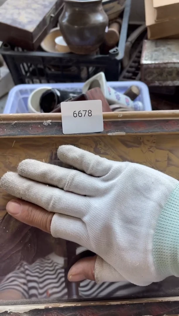 器556677882505246678