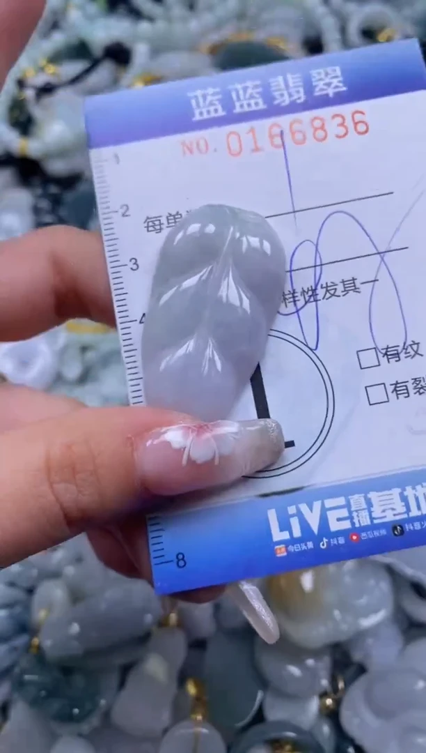 【闪购商品】翡翠颈饰未镶嵌闪购0166836