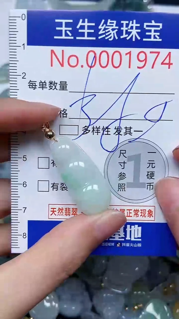 【闪购商品】翡翠颈饰未镶嵌闪购00001974