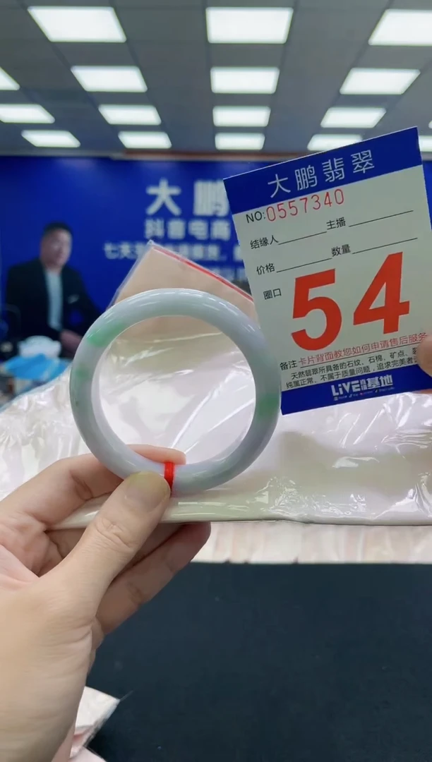 未镶嵌手镯翡翠AAAAAAAAA