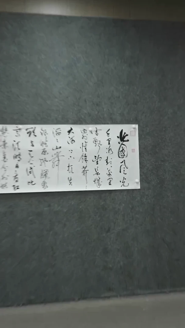 书法书法zrw书法作品