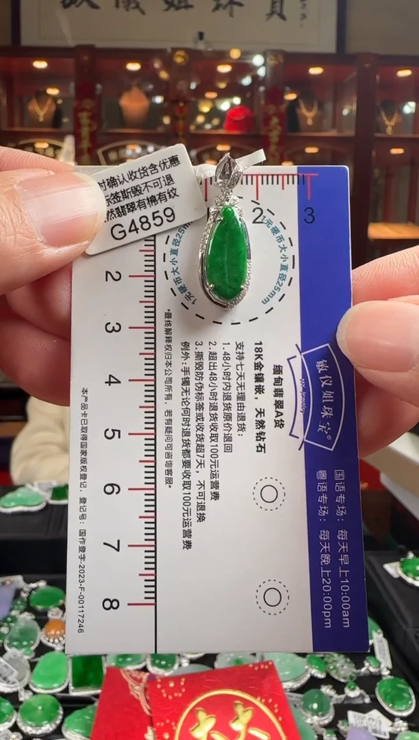 【闪购商品】翡翠颈饰18K金镶嵌G4859绿福瓜